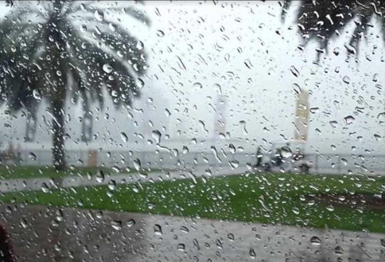 أمطار مارس تباشير رمضانية تنفض غُبار الجفاف