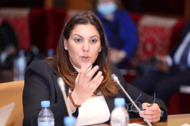 المنصوري: مسألة المياه ليست مجرد سياسة قطاعية