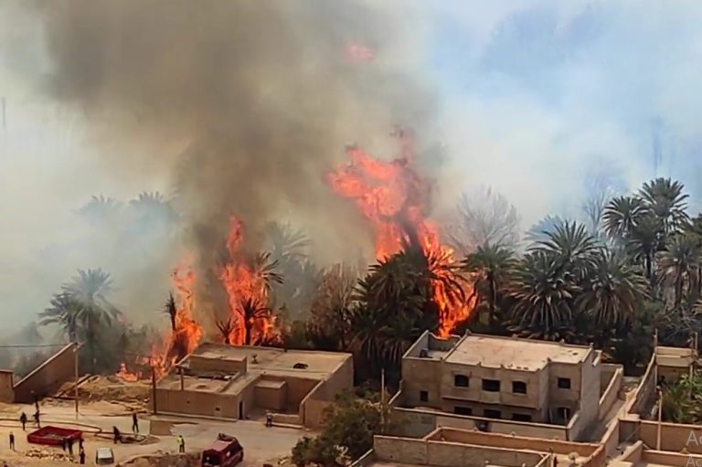 اندلاع حريق مهول بواحة اولاد شاكر بالرشيدية + فيديو