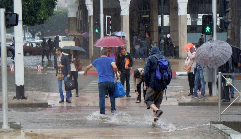 مقاييس الأمطار المسجلة بالمملكة خلال الـ 24 ساعة الماضية