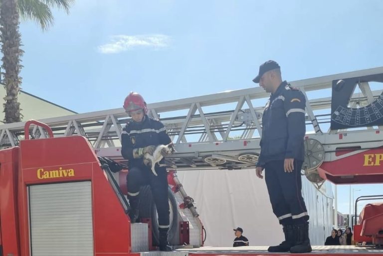 الوقاية المدنية تنقذ قطة عالقة بالمنطقة الصناعية الحرة بطنجة ( صور)