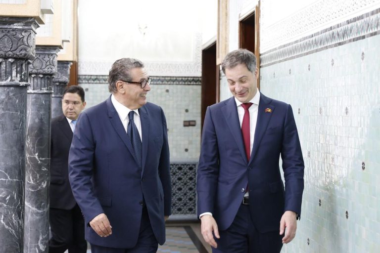 بلجيكا تشيد بإصلاحات المغرب تحت قيادة جلالة الملك