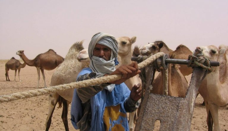 طاطا : العناية بالرعاة الرحل تثير استحسان هذه الفئة من المجتمع