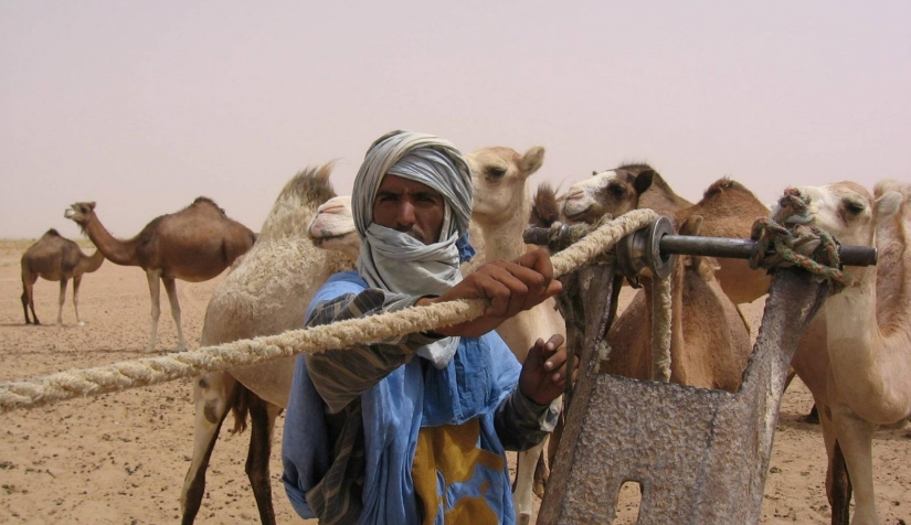 طاطا : العناية بالرعاة الرحل تثير استحسان هذه الفئة من المجتمع