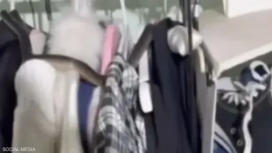 فيديو مفاجأة "غير متوقعة" في خزانة ملابس