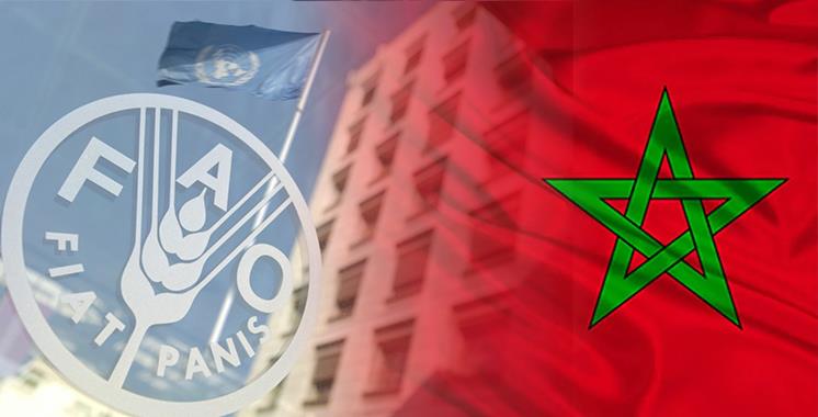 المغرب ومنظمة "الفاو" يوحدان جهودهما من أجل مشروع "مستقبل مرن للماء"