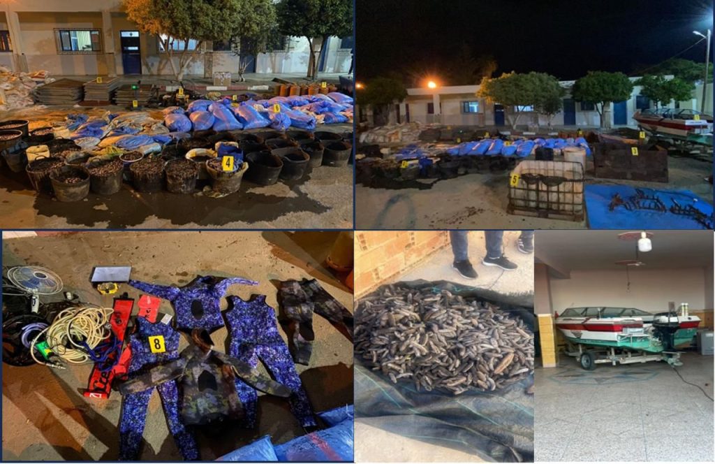 صيد وبيع أصناف بحرية مهددة بالانقراض تجر 7 أشخاص للاعتقال بوجدة