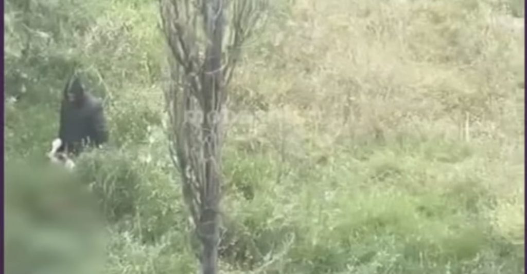 صادم بطنجة..فيديو يُوثق لمحاولة اغت.صاب سيدة بالشارع العام