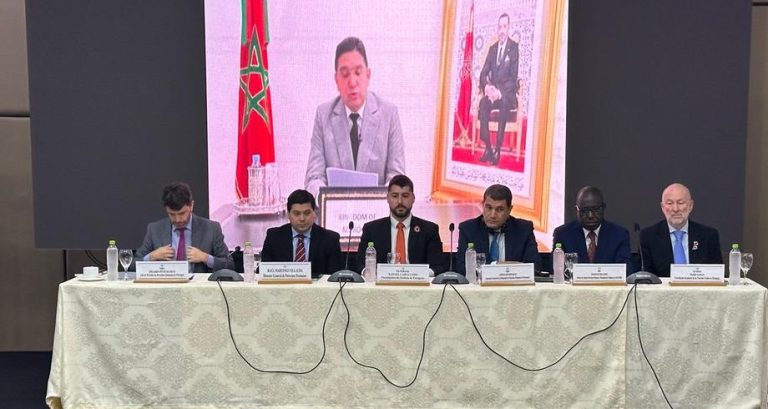 بوريطة : الملك جعل من حماية حقوق الإنسان "مرتكزا لمجتمع عصري"