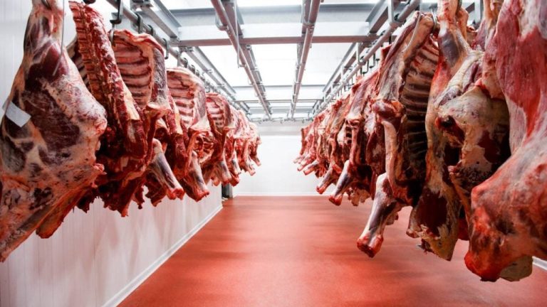 لفتيت ..تخصيص 30 مليون درهم لتأهيل وإصلاح المجازر بعدد من الجماعات