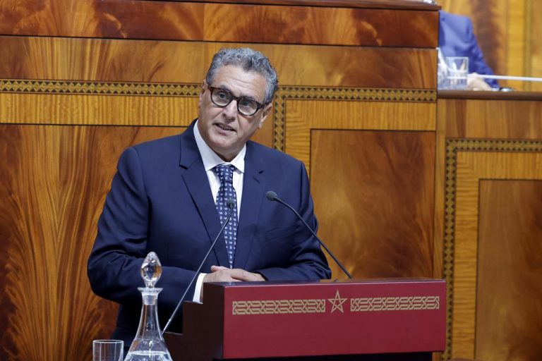 أخنوش: بلادنا عززت مكانتها كوجهة لجلب الاستثمارات بفضل جلالة الملك