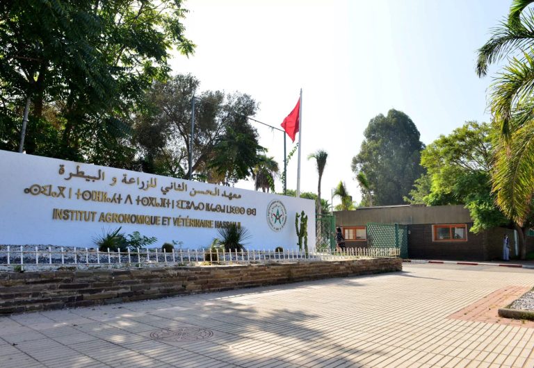 طلاب الهندسة الزراعية" يفصلون في "تغير المناخ وتأثيره على الأمن الغذائي"