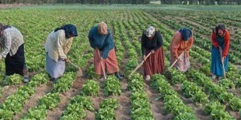 جنايات القنيطرة تنظر في قضية " مستثمرين مزيفين "يستغلون جنسيا عاملات فلاحيات