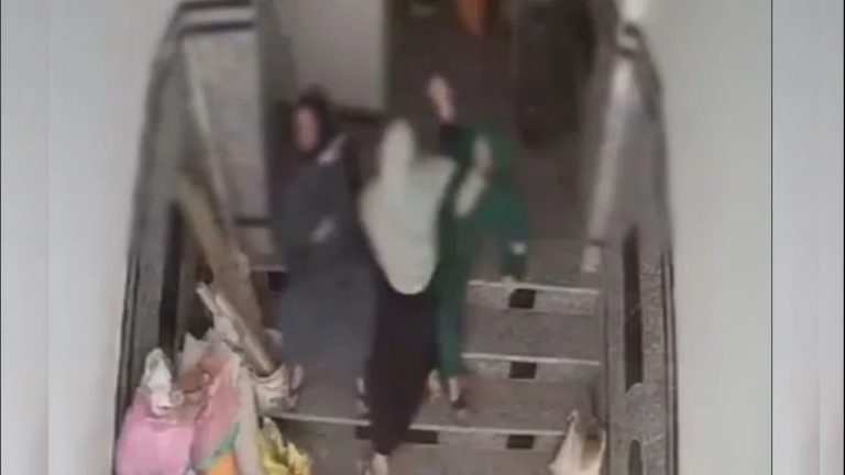 مصر.. حبس زوجة ظهرت في فيديو تعتدي بالضرب على حماتها