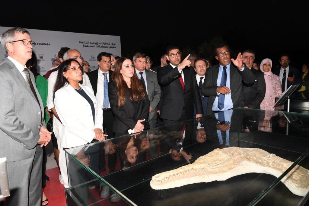 البيضاء: افتتاح معرض مجموعة من المستحاثات الأثرية التي أعيدت إلى المغرب بعد تهريبها