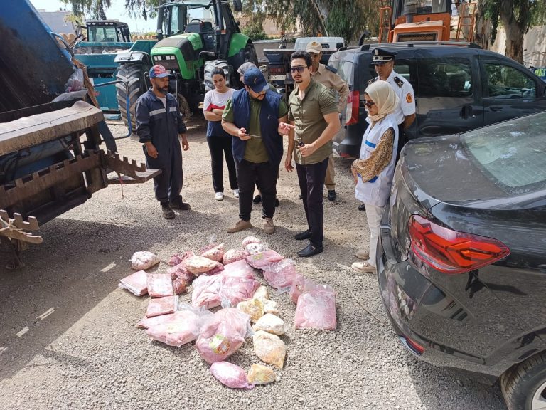 السعيدية.. حجز عشرات الكيلوغرامات من اللحوم والمواد الغذائية الفاسدة