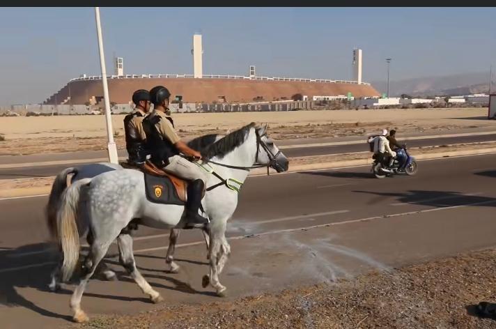 اكادير : توفير "الأحصنة والدرون " لتأمين مباراة نهائي كأس العرش
