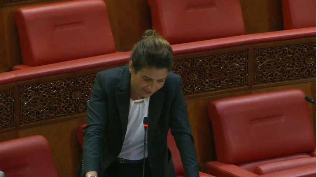 بنعلي : "عرض المغرب" في مجال الهيدروجين الأخضر سيعطي دفعة قوية للاستثمارات
