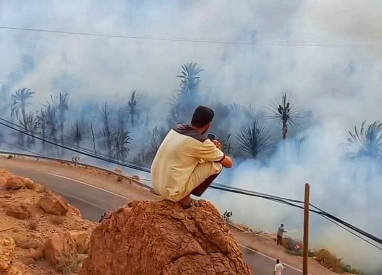 واحات المغرب .. حرائق لاتنتهي ومجهودات للحماية والاستدامة