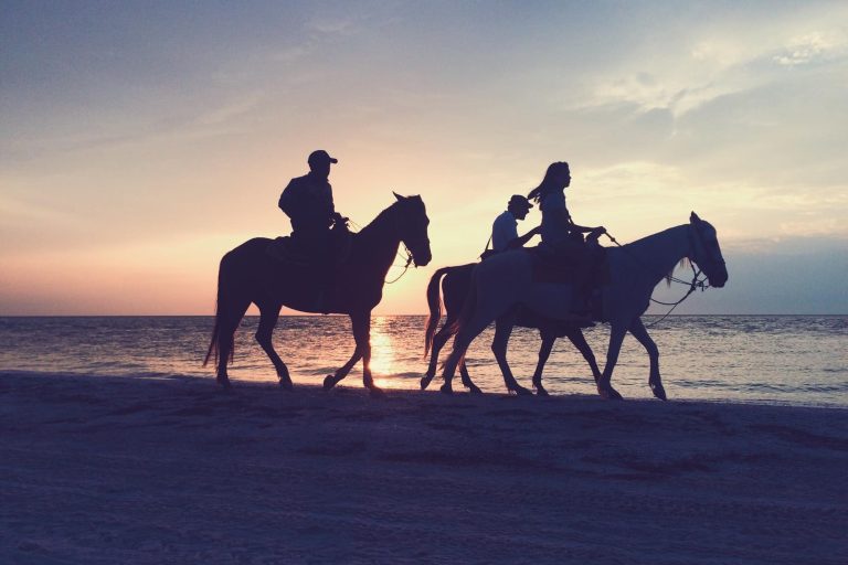 ركوب الخيل - صورة تعبيرية