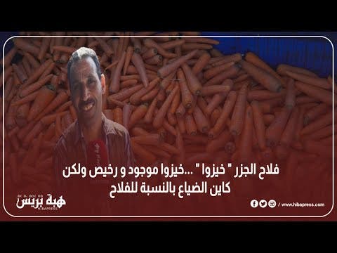 فلاح الجزر ” خيزوا ” …خيزوا موجود و رخيص ولكن كاين الضياع بالنسبة للفلاح