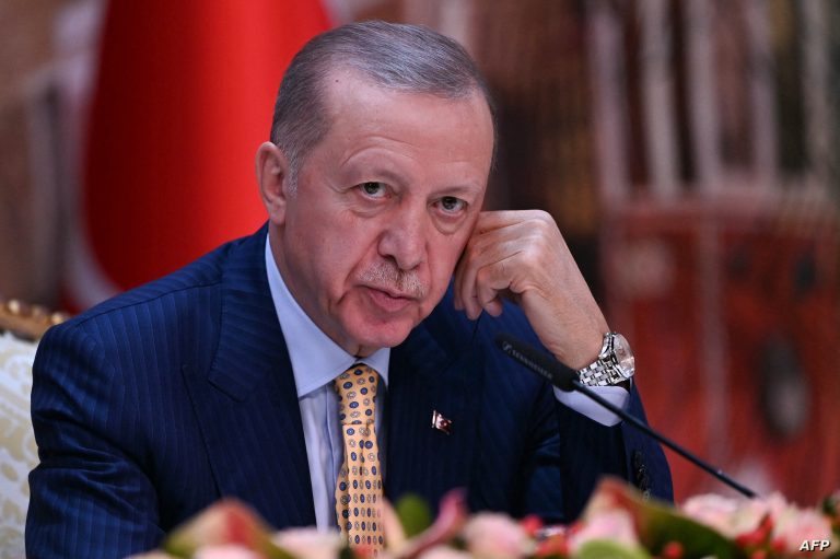 الرئيس التركي رجب طيب أردوغان