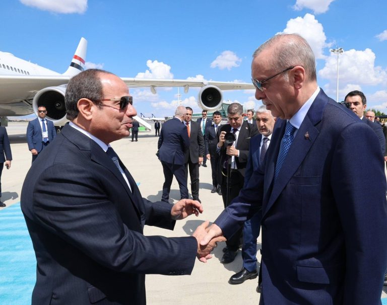 الرئيسان التركي والمصري