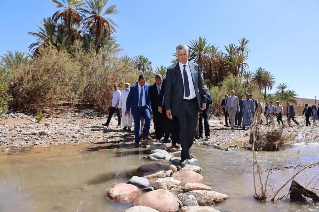 الصديقي يُعاين أضرار الأمطار الرعدية على القطاع الفلاحي بالجنوب الشرقي ( صور )