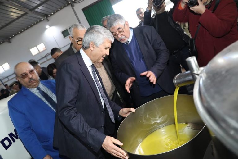 تجار مغاربة ينتظرون تأشير وزارة الفلاحة لاستيراد " زيت الزيتون "