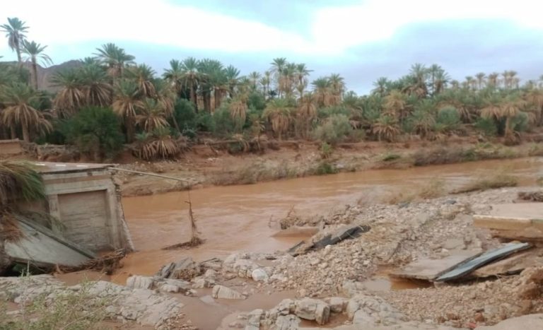 تفاصيل الخسائر التي تسببت فيها الفيضانات على القطاع الفلاحي بالجنوب الشرقي
