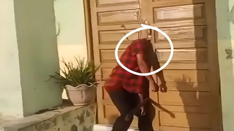 نهاية مأساوية للص أندونيسي (فيديو)