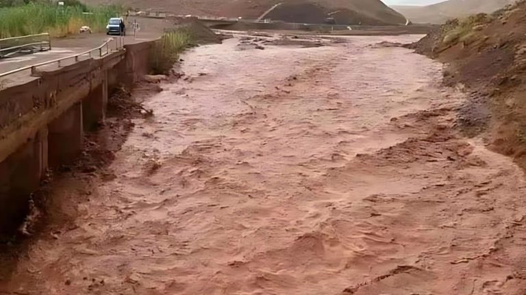 صورة تعبيرية