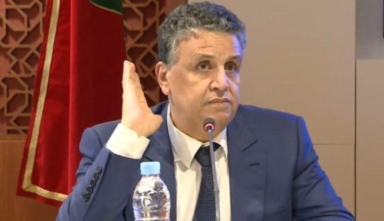 وهبي: "سنضع حدا لما يحدث في التيك توك ويوتيب"