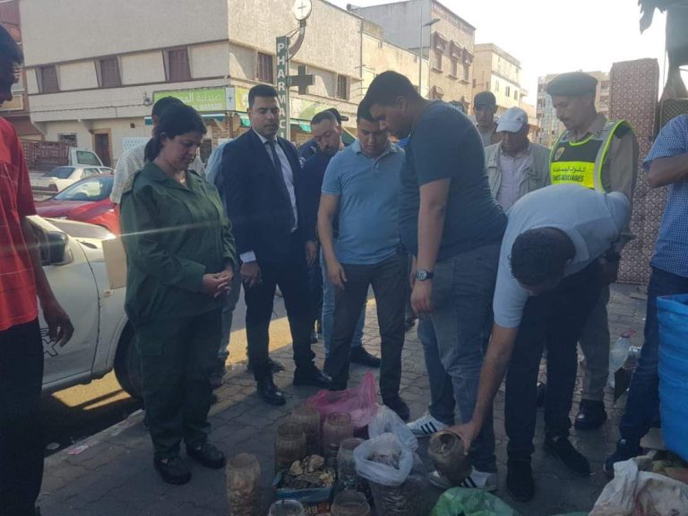 سيدي بنور.. اعتقال "مشعوذ" وحجز جلود ثعابين و رؤوس حمير وكلاب