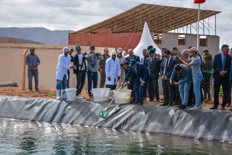 جرادة .. إطلاق مشاريع في إطار إستراتيجية "غابات 2020-2030"