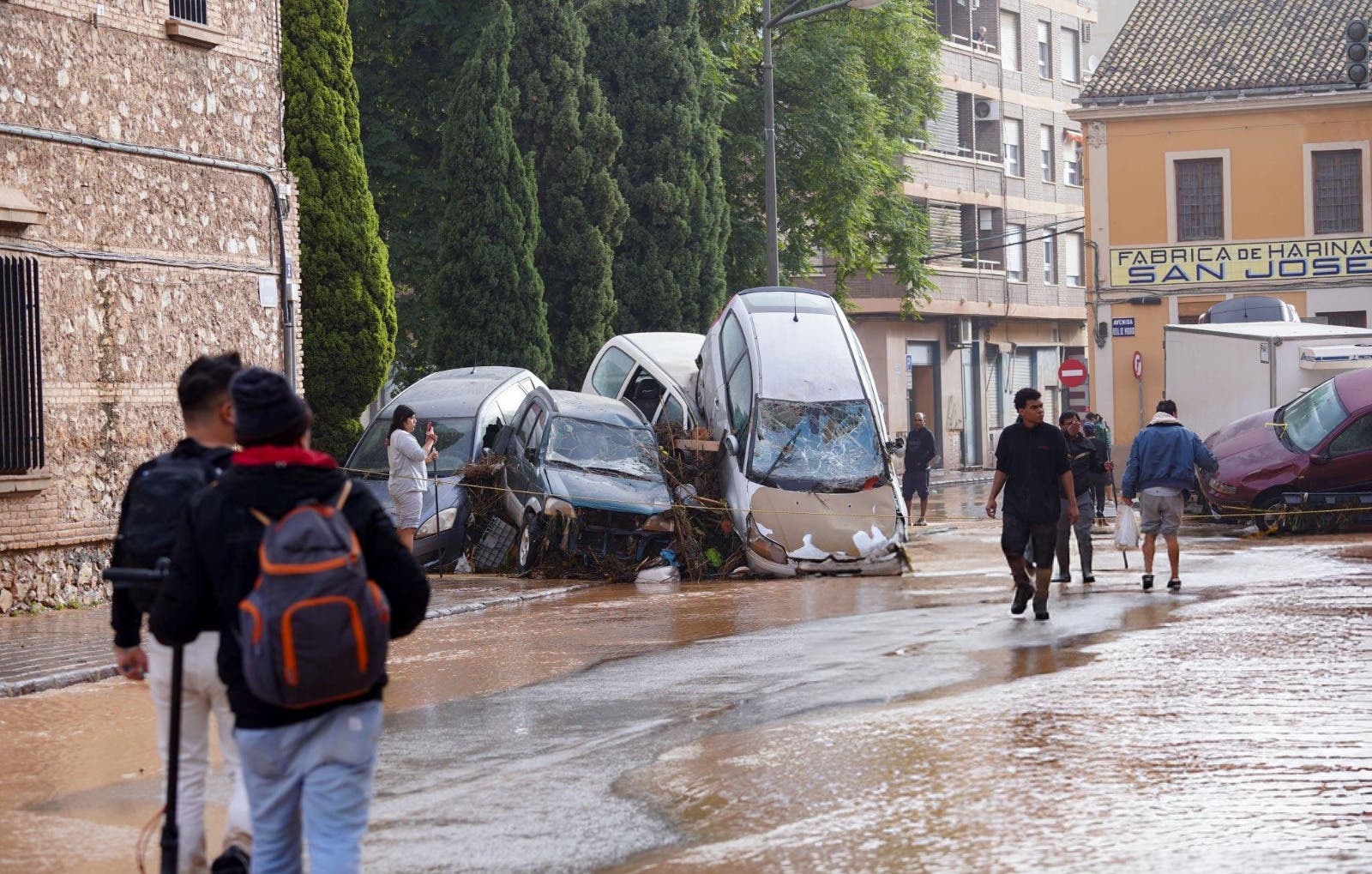 فيضانات فالنسيا.. تحويل نادي رياضي إلى ملجأ للحيوانات