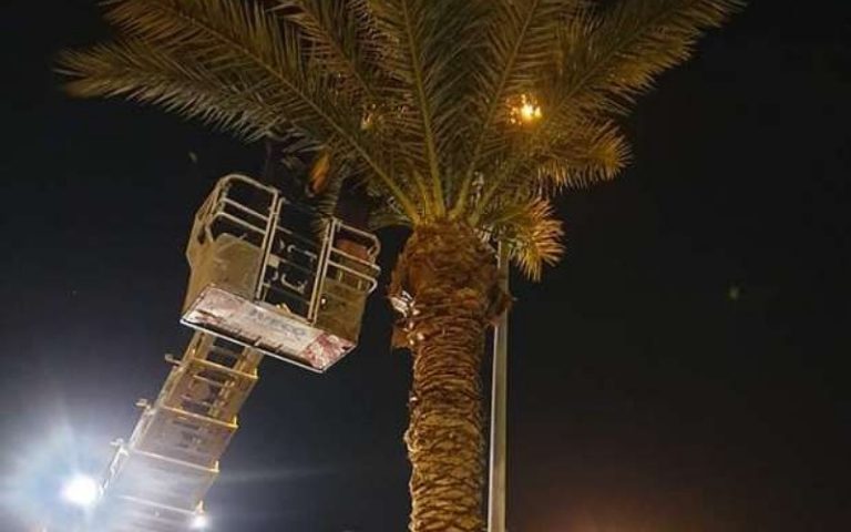 اكادير : إنقاذ "قطة" من موت محقق يثير إعجاب منظمات الرفق بالحيوان
