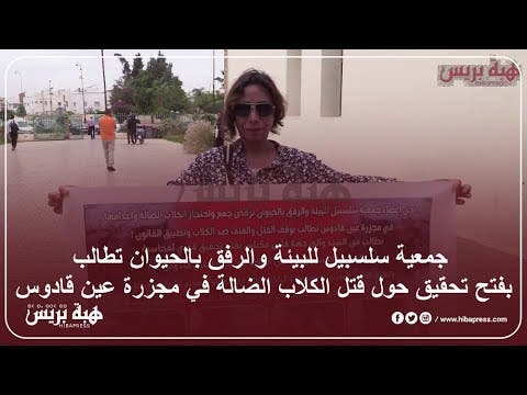 جمعية سلسبيل للبيئة والرفق بالحيوان تطالب بفتح تحقيق حول قتل الكلاب الضالة في مجزرة عين قادوس