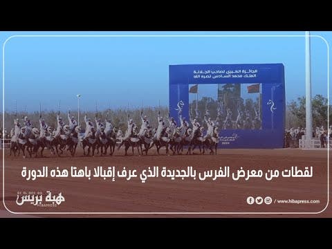 لقطات من معرض الفرس بالجديدة الذي عرف إقبالا باهتا هذه الدورة