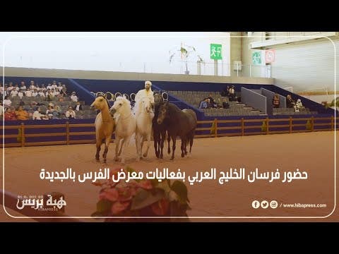 حضور فرسان الخليج العربي بفعاليات معرض الفرس بالجديدة