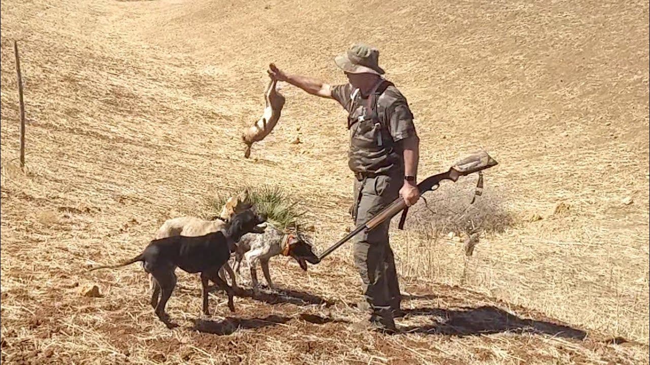 بالأرقام.. هذا عدد الحاصلين على رخصة القنص بجهة الدار البيضاء سطات