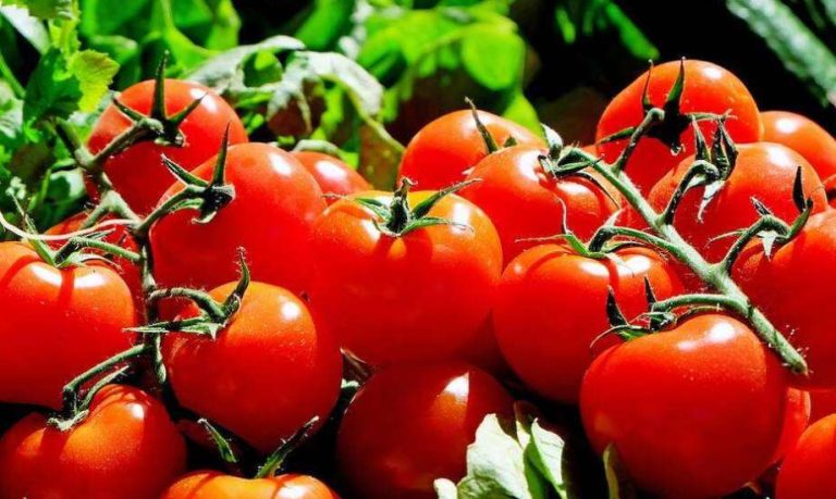 أسعار الخضر تواصل الارتفاع وتثقل كاهل الأسر المغربية