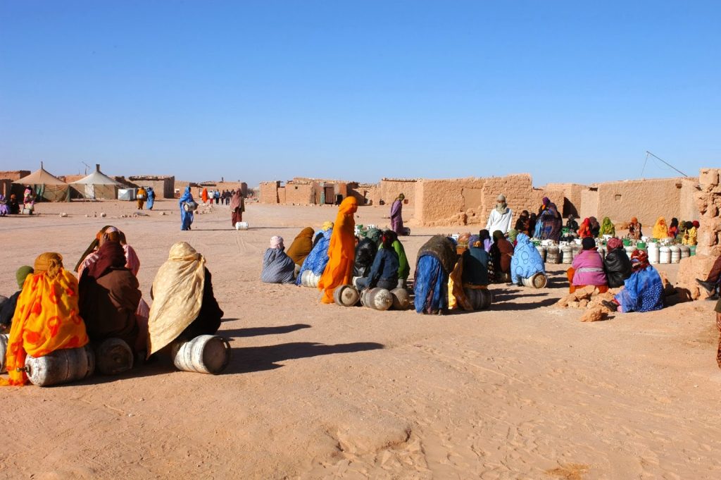 نفذها الجيش الجزائري.. منظمات دولية تفضح إعدامات المدنيين الصحراويين في جنيف