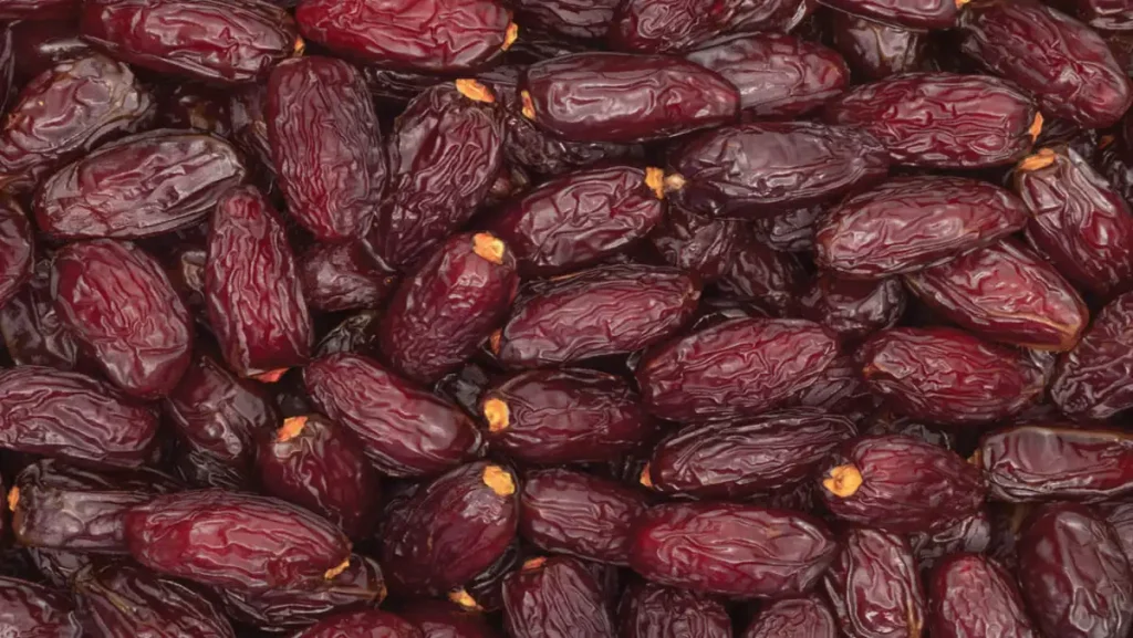 أرفود.. تمر المجهول يجذب اهتمام زوار الملتقى الدولي للتمور