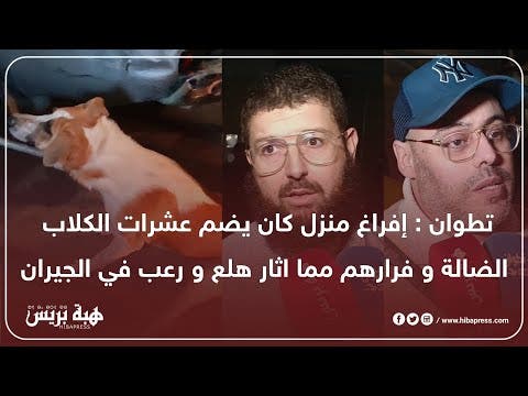 تطوان : إفراغ منزل كان يضم عشرات الكلاب الضالة و فرارهم مما اثار هلع و رعب في الجيران