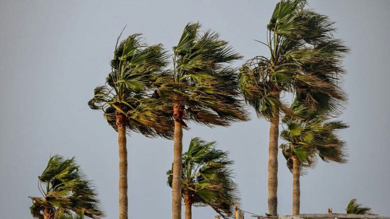 نشرة إنذارية: رياح قوية تصل إلى 100 كلم/س اليوم وغدا بهذه المناطق