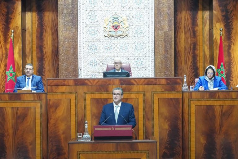أخنوش: "حكومتنا أولت اهتماما استثنائيا لهذه المجالات"
