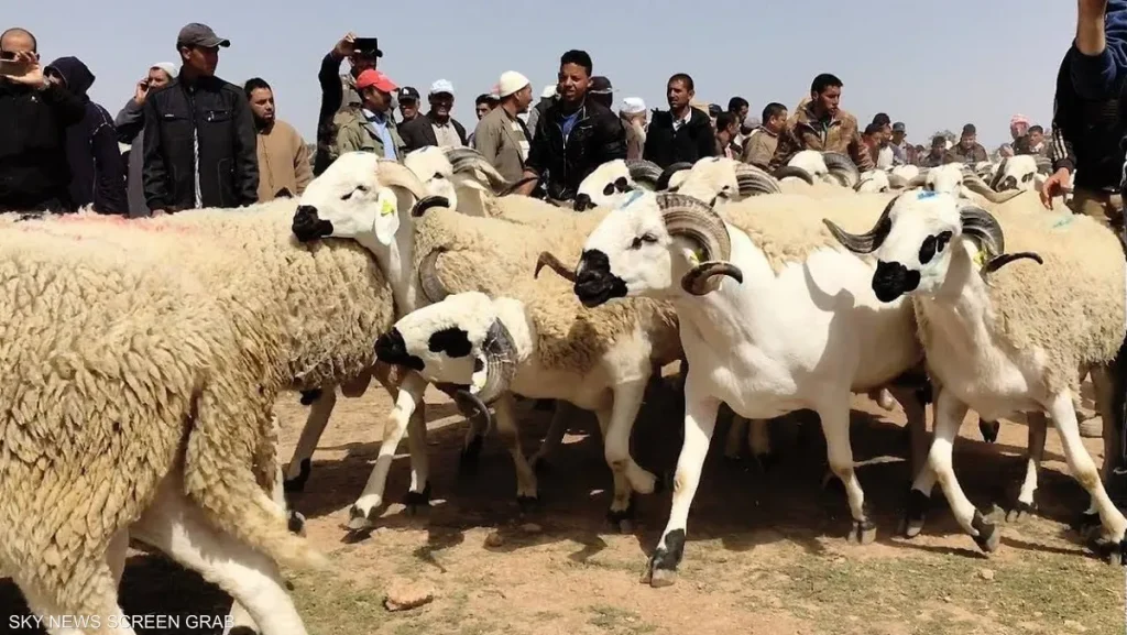 صورة تعبيرية