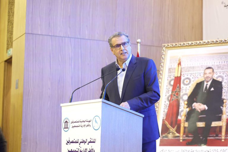 عزيز أخنوش