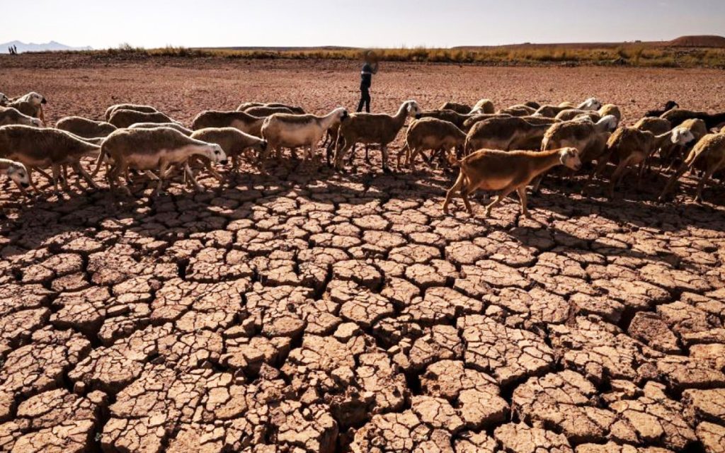 صورة تعبيرية للجفاف